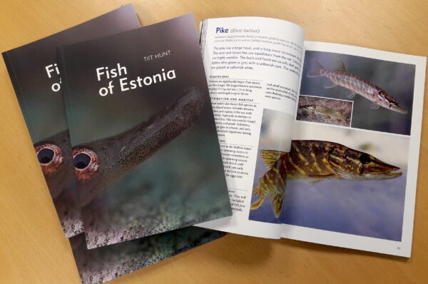 Fish of Estonia